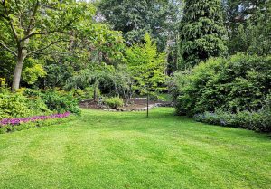 Optimiser l'expérience du jardin à Ogeu-les-Bains